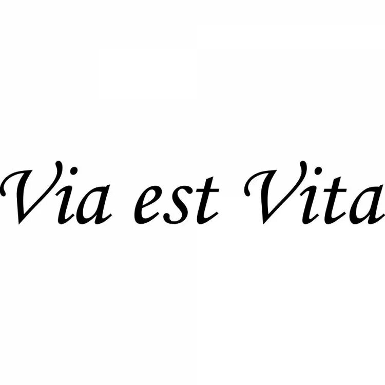 Vitae est. Via est Vita. Эскиз тату via est Vita. Via est Vita перевод. Motus Vita est.