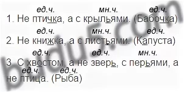 Упр 108 5 класс