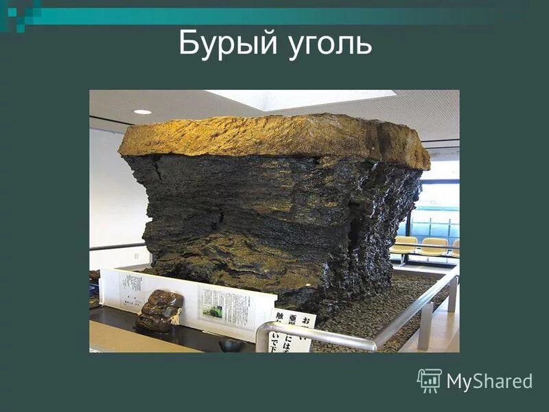 Кемеровская область ископаемые. Полезные ископаемые Кузбасса. Полезные ископаемые Кузбасса проект. Полезные ископаемые железо Кемеровской области. Кузбасс полезные ископаемые главное