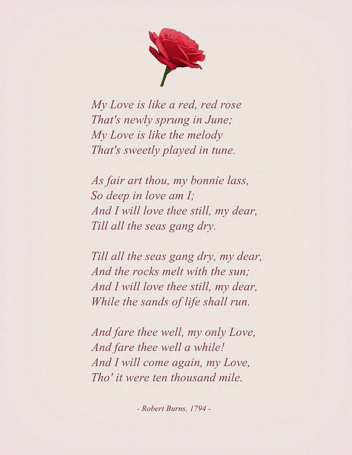 Red red rose robert burns текст. Ред ред роуз стих. A red red rose. Is a rose перевод. Is a rose перевод.