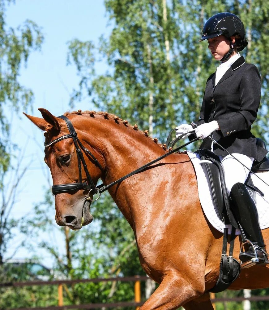 конные занятия. одежда для соревнований по конкуру. конный спорт соревнования. где можно заниматься конным спортом. верховая езда на лошади.