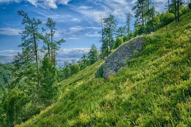 егоза горнолыжный курорт кыштым. южный урал кыштым. гора в челябинской области игоза зимой. гора егоза кыштым. кыштым челябинская область гора сугомак.