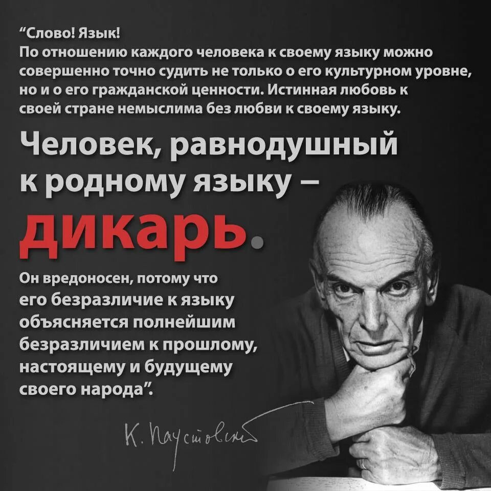 Ним безразлично лицо предвидело