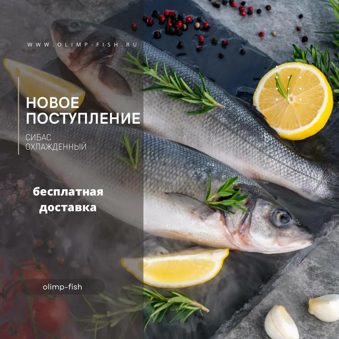 Олимп фиш. Олимп фиш