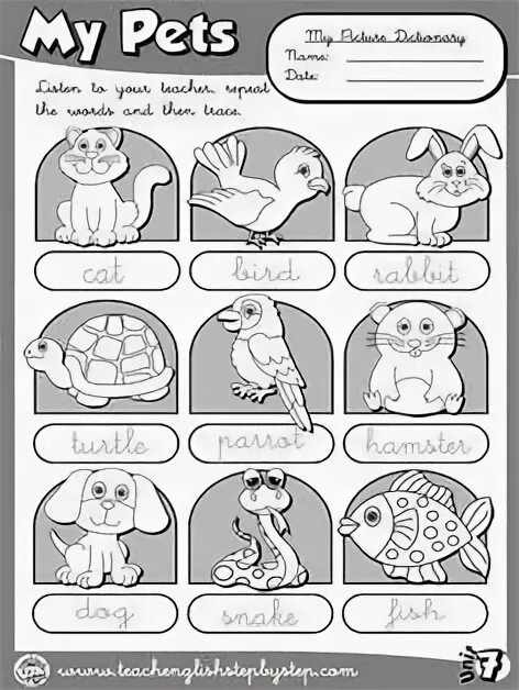 Карточки с английскими словами pet питомец. My pets английский язык. My pet worksheets for kids. Задания по английскому языку my pets. Pets задания для детей.
