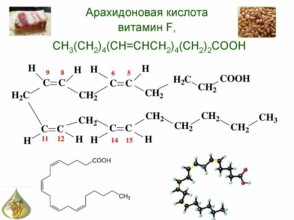 Формула арахидоновой кислоты. Арахидоновая кислота химическое строение. Химическое строение арахидоновой кислоты. Арахидоновая кислота структурная формула.