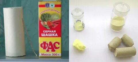 Серная шашка в теплице из поликарбоната осенью