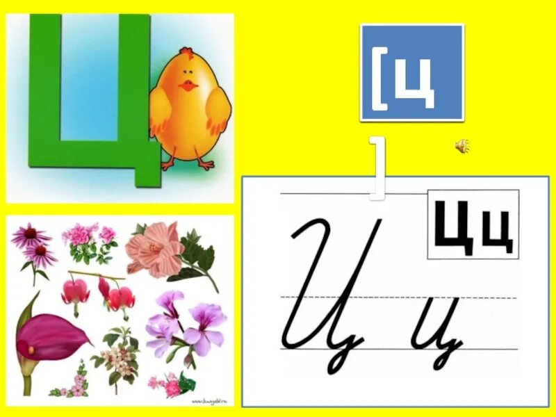 Обучение грамоте звук ц. Звук и буква ц. написание буквы ц. звук и буква ц для дошкольников. обучение грамоте буква ц.