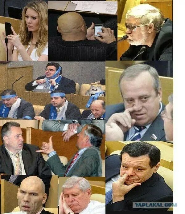 Кто выбирает депутатов государственной думы. Смешные депутаты госдумы. рожи депутатов госдумы. морды чиновников. депутаты приколы.