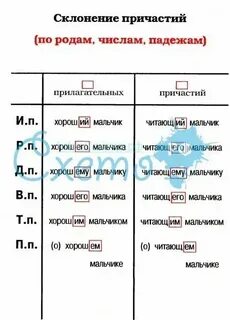 При склонении гласная е выпадает