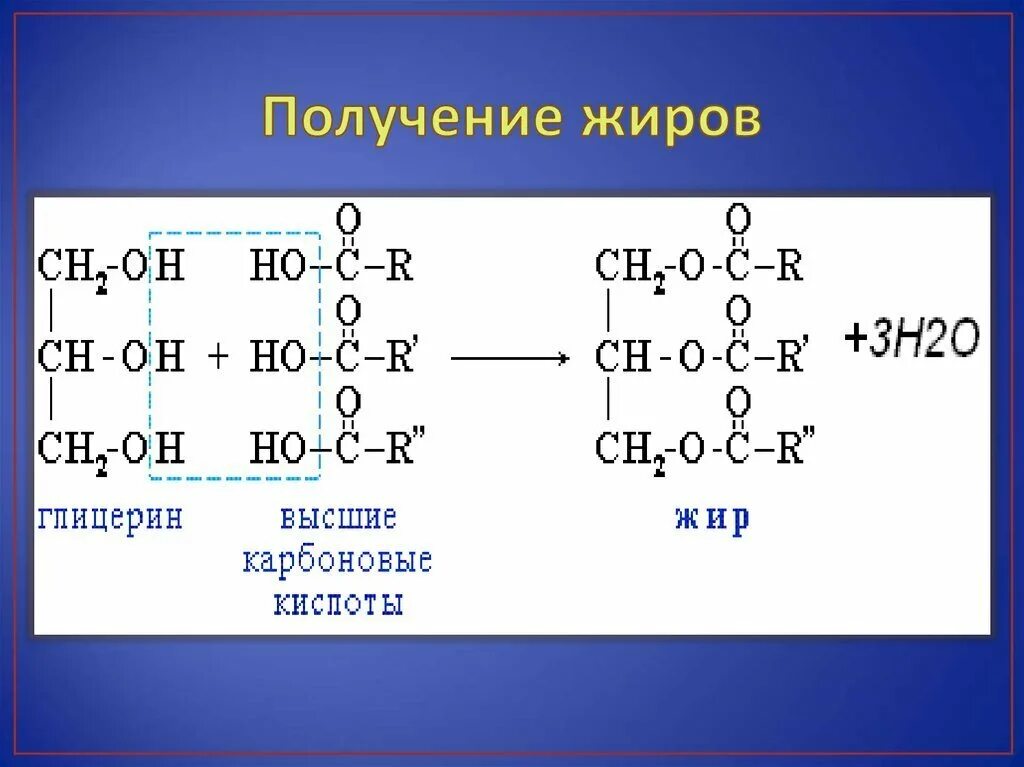 Глицерин пальмитиновая кислота стеариновая кислота. Формула образования жира. Способы получения жиров реакция. Формула получения жиров. Пример реакции получения жиров.