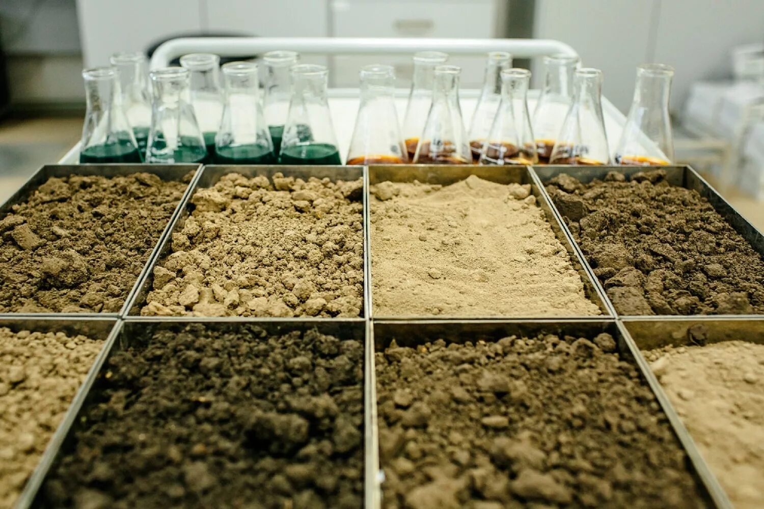 почва в лаборатории. Soil research. Soil research. обследование почвы. отбор проб почвы.