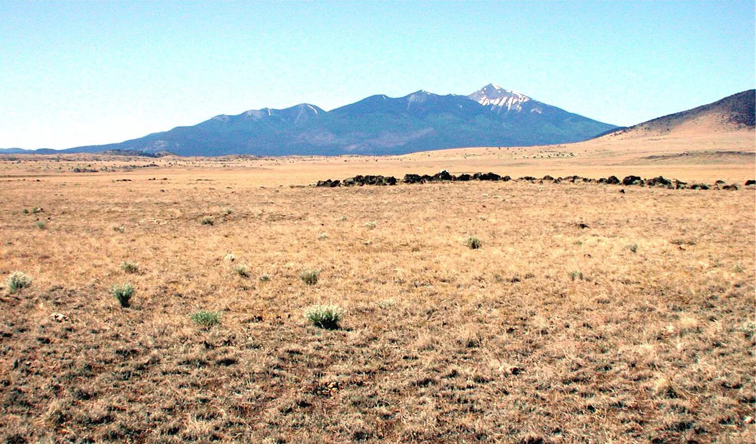 Пейзаж пустыни кызылкум. Между степи и пустыни. Степь полупустыня пустыня. Между степи и пустыни. Саванна пустыня африка.
