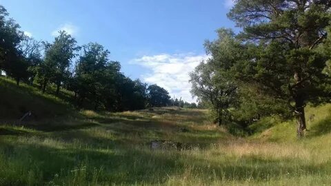 Погода в глушицком