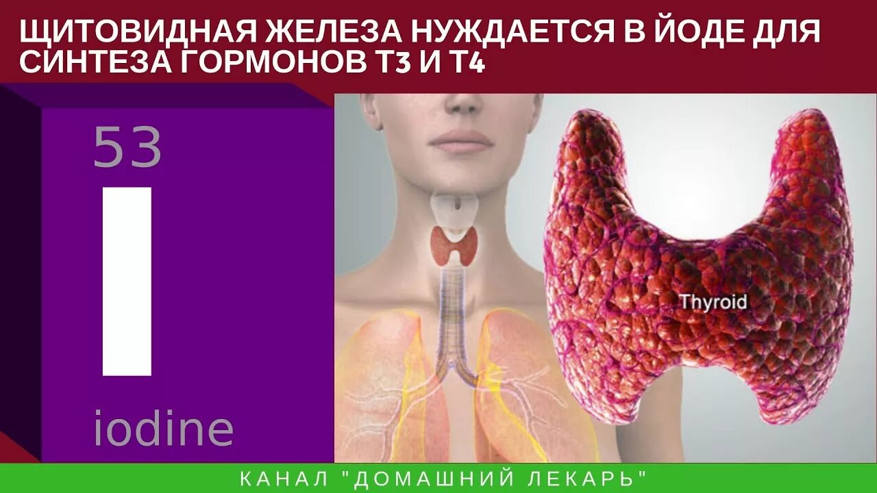 Витамины для щитовидной железы. Йододефицитные заболевания щитовидной железы.