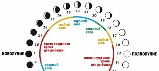 Клев щуки 2024. Клев и фазы Луны. Клев по фазам Луны. Луна и клев рыбы. Фазы Луны и клев рыбы.