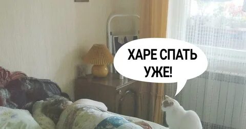 Вставай картинки прикольные
