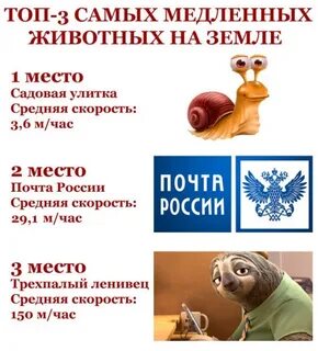 Блиц почта