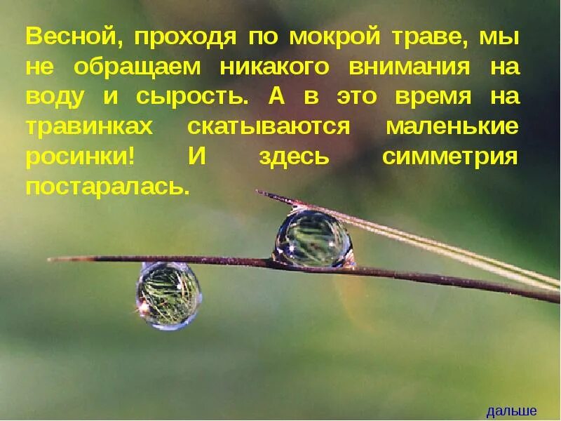 Не уделяете никакого внимания. Стихотворение Росинка. Стишки про Росинку. Цитаты про симметрию в природе. Травинка Росинка стихи.