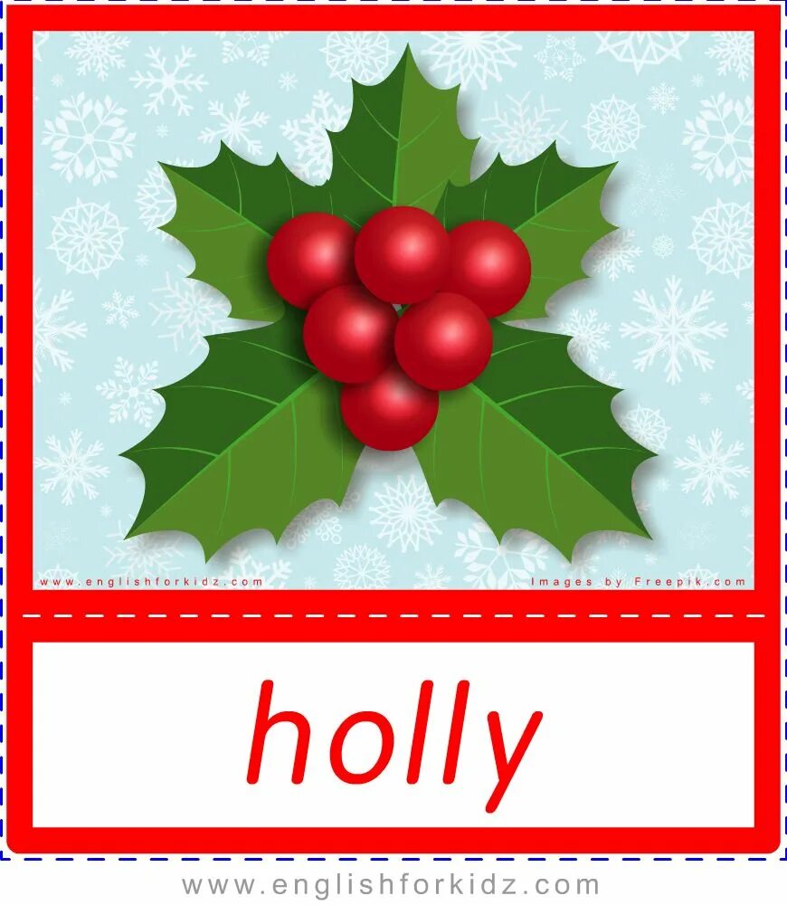 Holly на английском. Mistletoe and holly разница. 12 flowers of the year. Holly на английском. Holly flashcard.