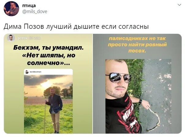 Сколько лет диме позову