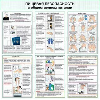 Качество и безопасность продукции общественного питания