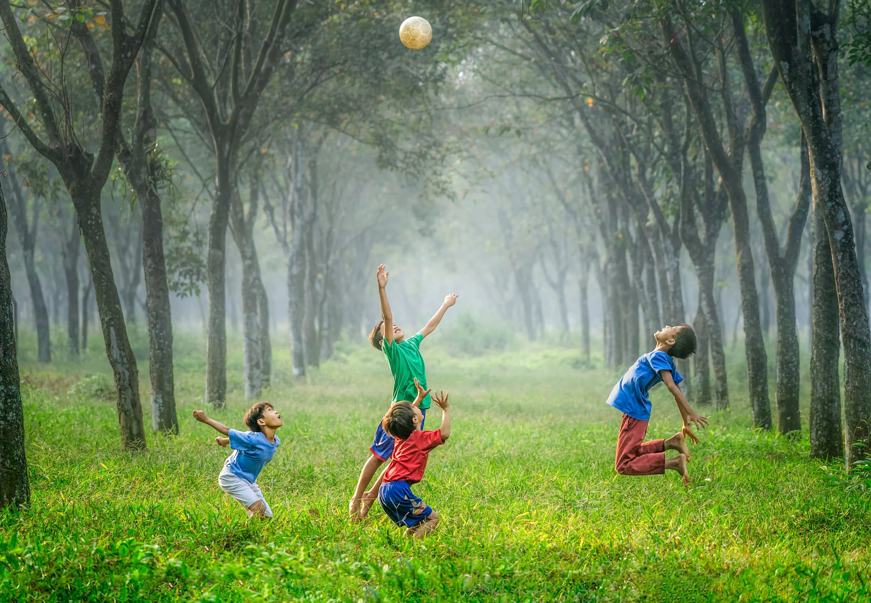 Sport environment