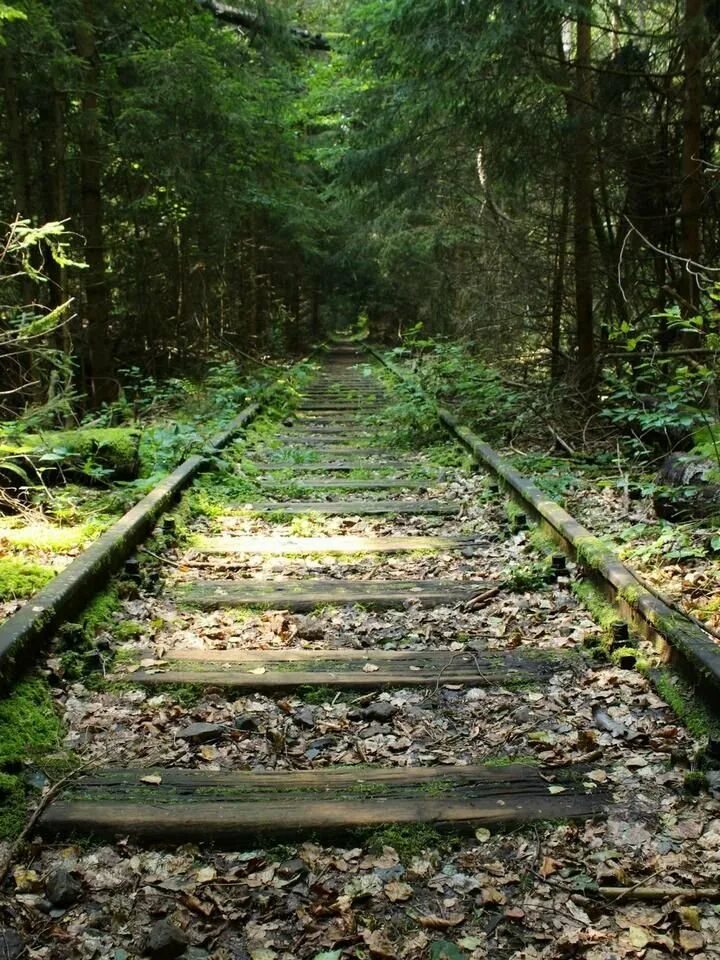 Тоннель дальнее. Черноречье севастополь тоннель. Тоннель дальнее. Фолгефонна (тоннель). Туннель сюэшань тайвань.