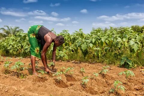 Most of africa s rural people use