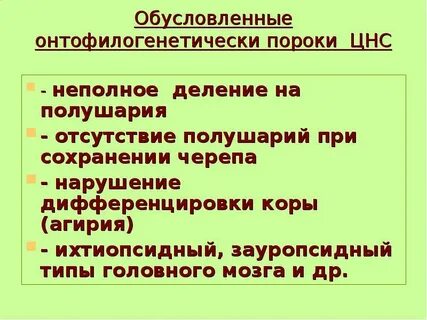 Пороки нервной системы