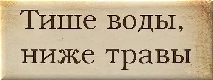 Тише воды ниже травы предложение