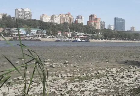 Вода в дону сейчас