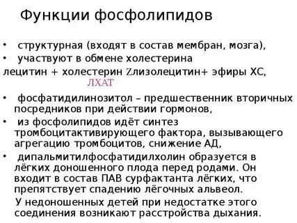 Функции фосфолипидов
