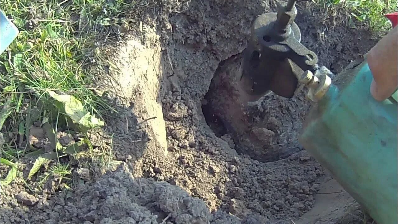 Как бороться с земляными осами