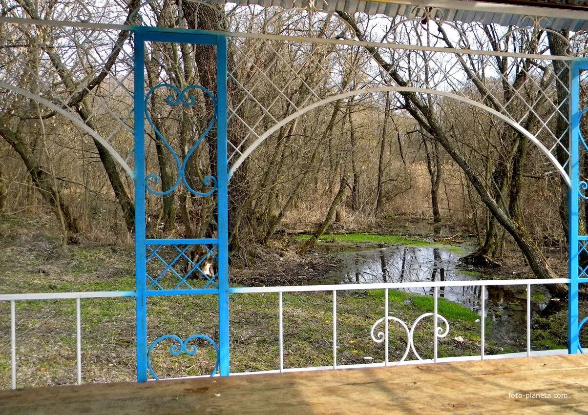 Погода село ольшанка. Село Ольшанка Чернянский район Белгородская. Чернянский район село Ольшанка. Село Ольшанка Чернянского района Белгородской области. Новая Ольшанка Нижнедевицкого района Святой источник.