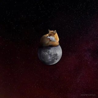 Лисичка луна