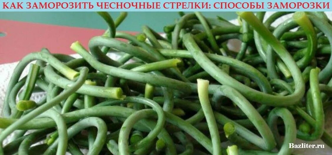 стрелки чеснока. можно ли морозить чесночные стрелки. стрелки чеснока замороженные. чесночные стрелки заморозка на зиму. стрелки чеснока замороженные.