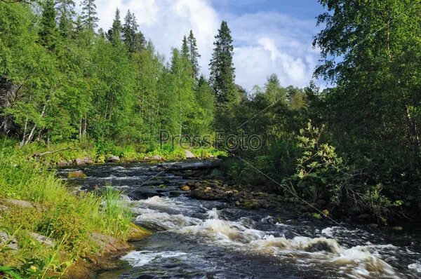 Река хлебная кольский. Дорога к реке. Река хлеб. Рыбалка на реке исеть. Природа.