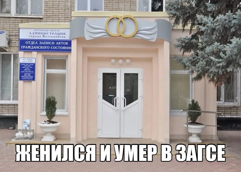 Загс волгодонск. Загс соборный 34 ростов. Загс цимлянск. Кировский отдел загс ростов. Загс 25 января воронеж.