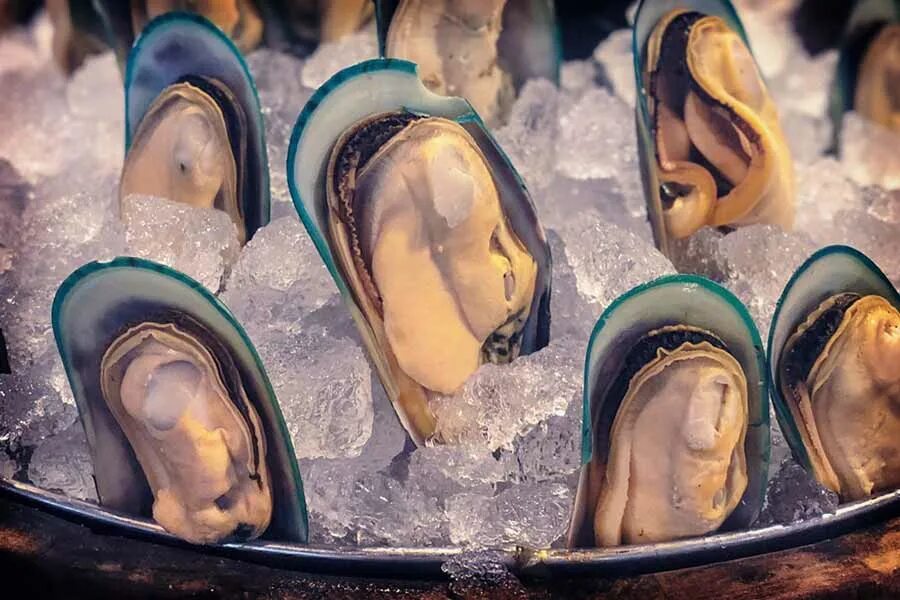 Морепродукты симферополь. Mytilus chilensis. Мидии в горшочках с вином. Мидии витамины. Мидии новозеландские.