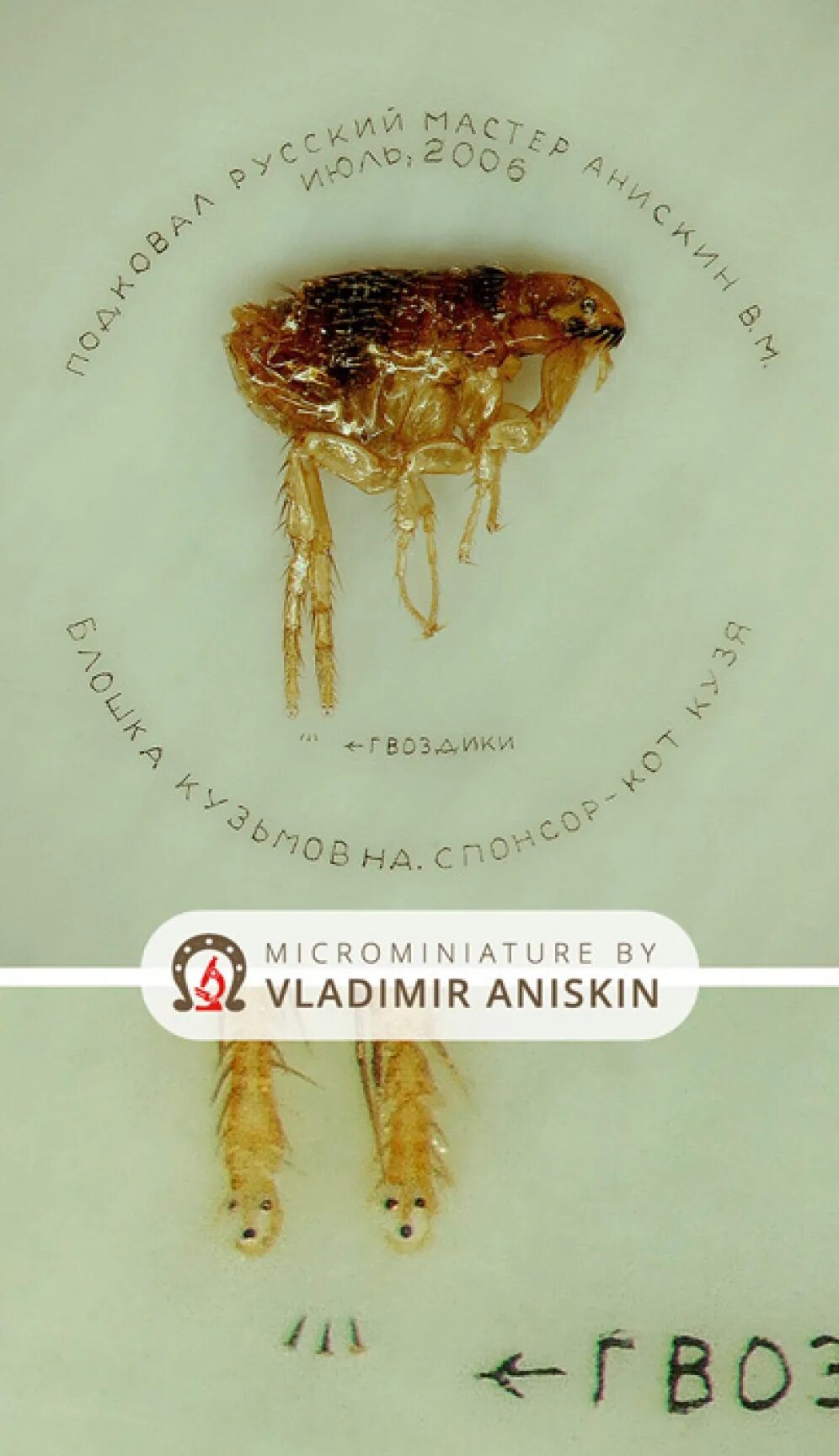 кто подковал блоху фамилия