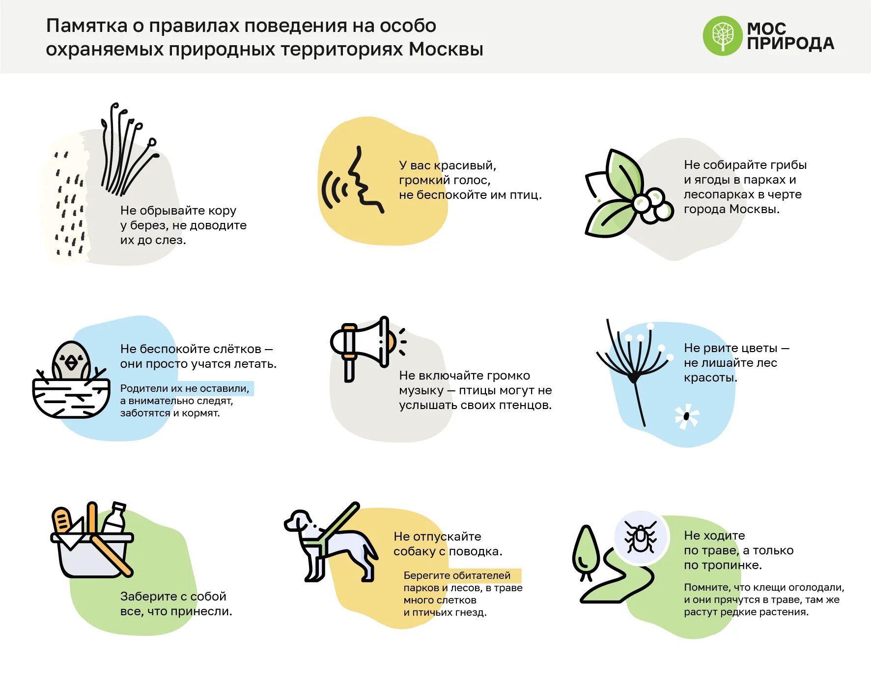 Правила поведения в лесопарке. Правила поведения в ООПТ. Правила поведения в парках. Правила поведения в природных парках. Правила посещения туристов