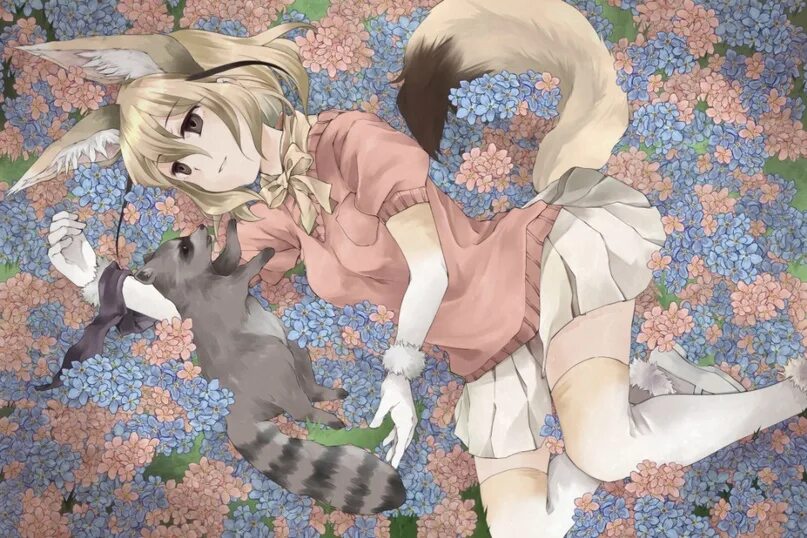 Kemono не обновляется. Kingocrsh kemono. kemono friends fennec. fennec fox kemono friends.