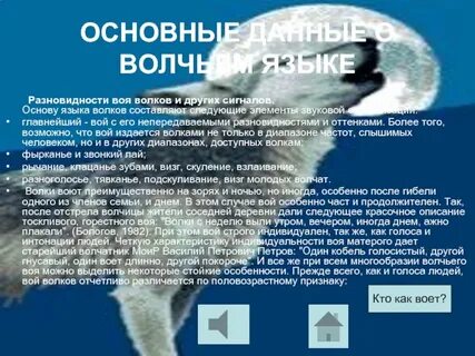 Почему волки не живут в южном полушарии