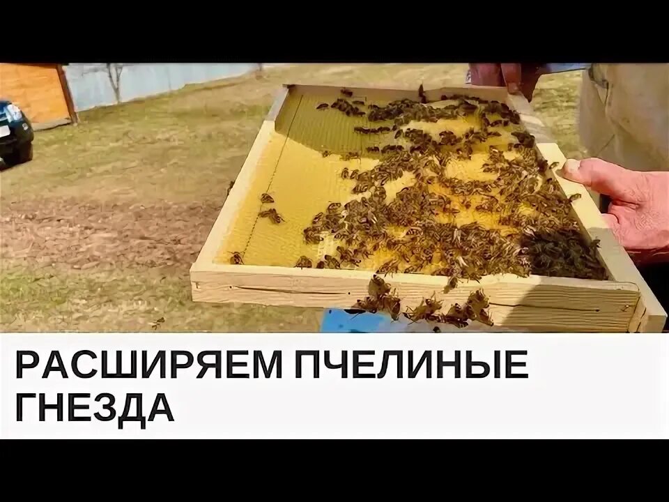 Как формировать гнездо