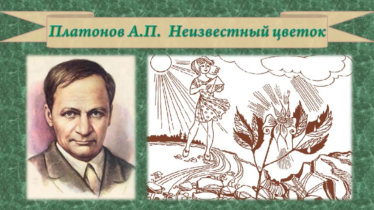 А П Платонов неизвестный. Платонов а. "неизвестный цветок". Неизвестный цветок Платоно.