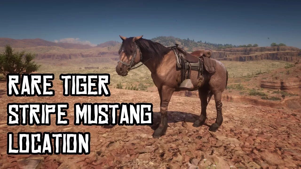 Тигровый мустанг. Тигровый мустанг rdr2. Тигровый мустанг. Red dead redemption 2 мустанг. Mustang tiger striped bay coat в red dead redemption 2.