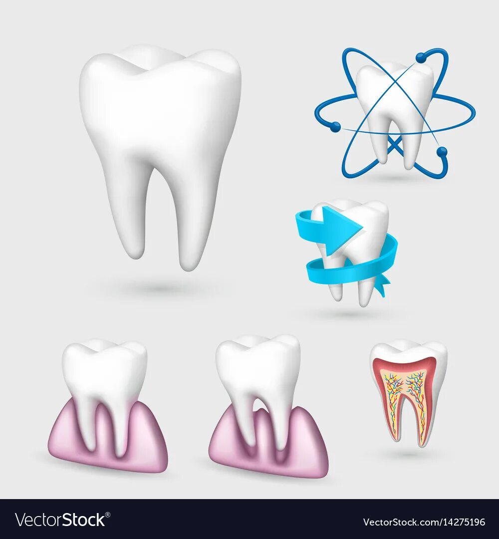 Зуб вектор. Зуб 3д вектор. Векторное изображение зуба. Логотип зуб с брекетом. 3 зуба установить