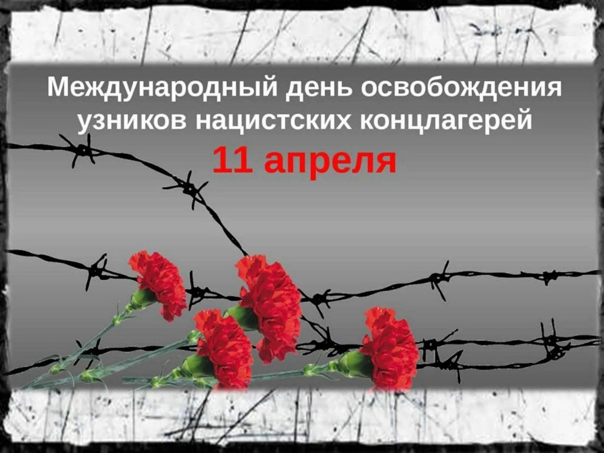 День освобождения узников фашистских концлагерей. День освобождения узников концлагерей. День освобождения узников фашистских лагерей. День освобождения узников фашистских концлагерей плакат. Сценарий узники фашистских концлагерей