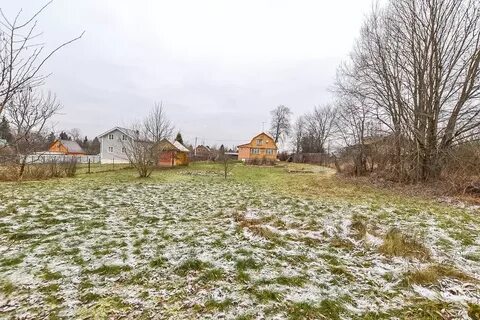Погода волоколамск деревня чертаново